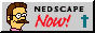 Nedscape! You know, it's funny because Netscape... Ned Flanders... Ned scape.